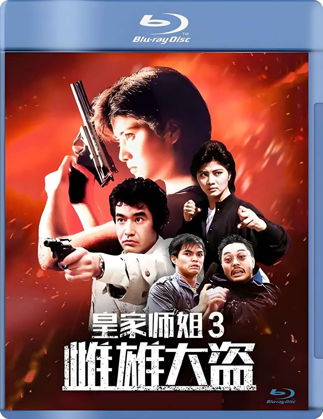 皇家师姐3：雌雄大盗