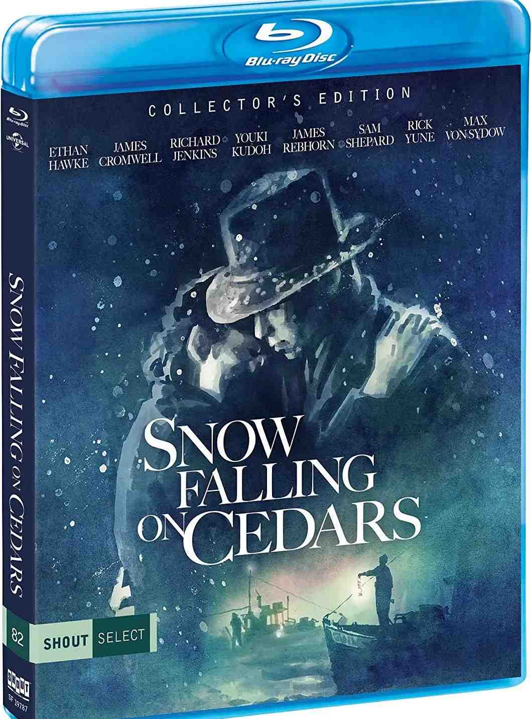 落在香杉树的雪花