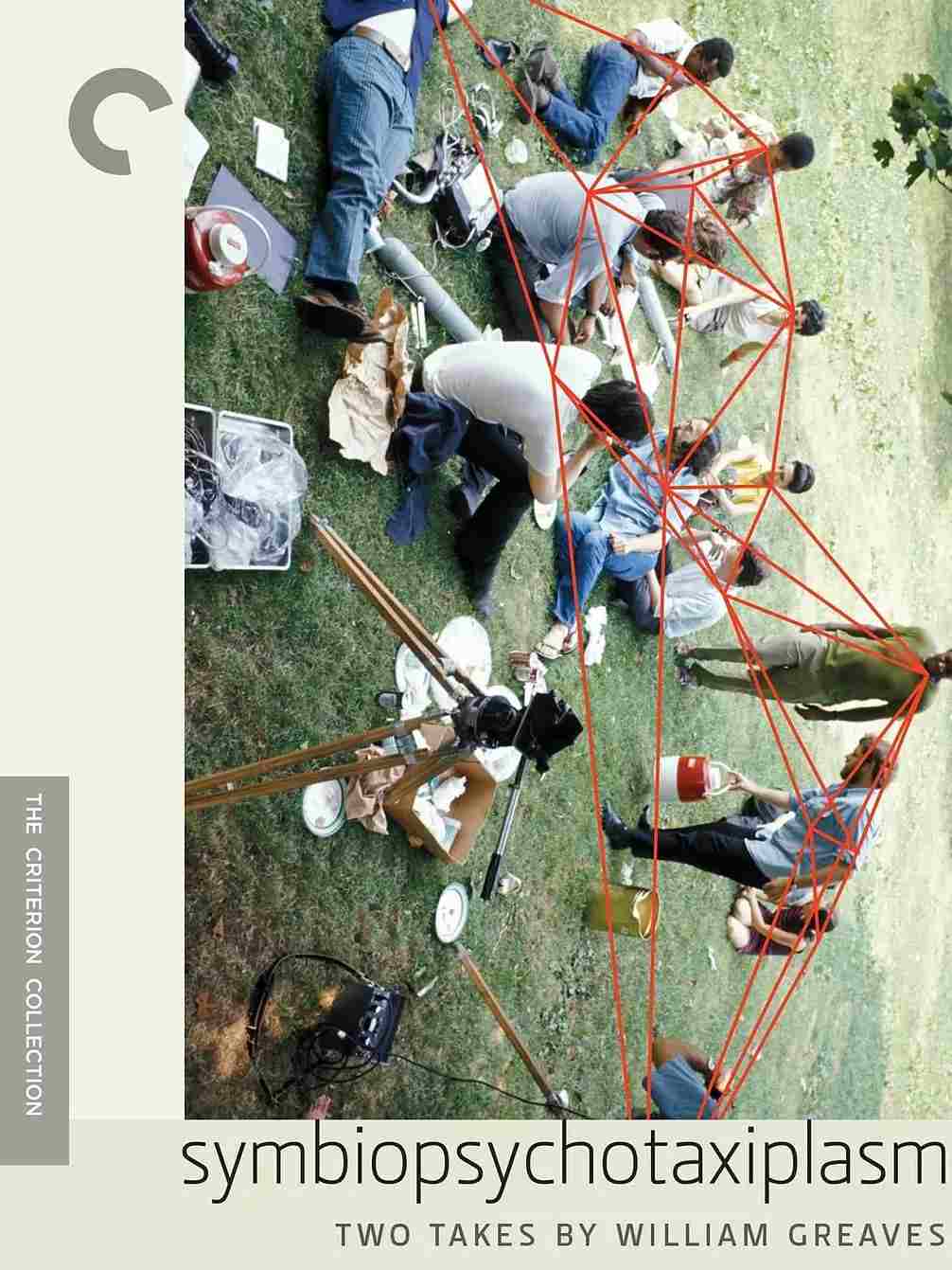 共生心理分类学：第1幕