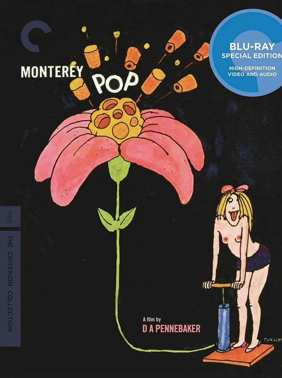 蒙特雷流行音乐节