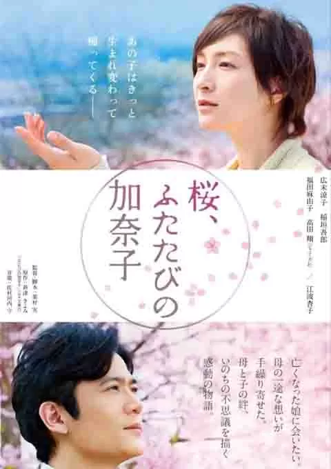 樱，重逢的加奈子