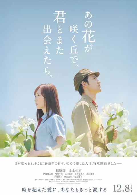 与你再遇鲜花盛开之丘