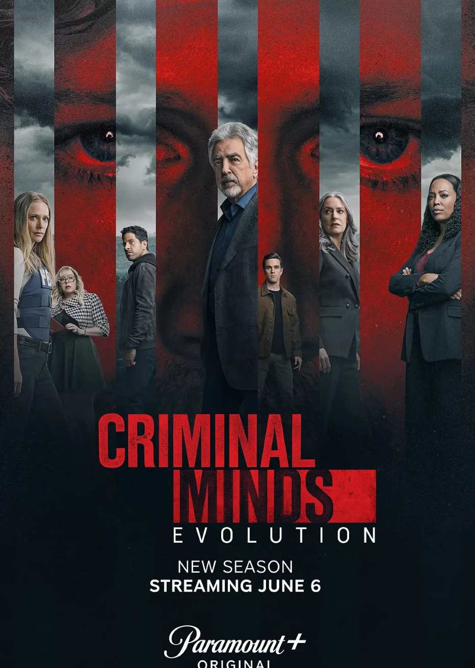 犯罪心理：演变 第十七季