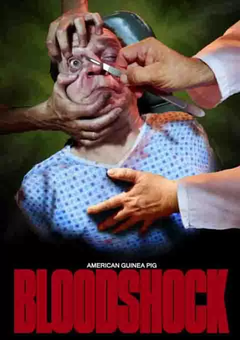 美国豚鼠2：血腥冲击